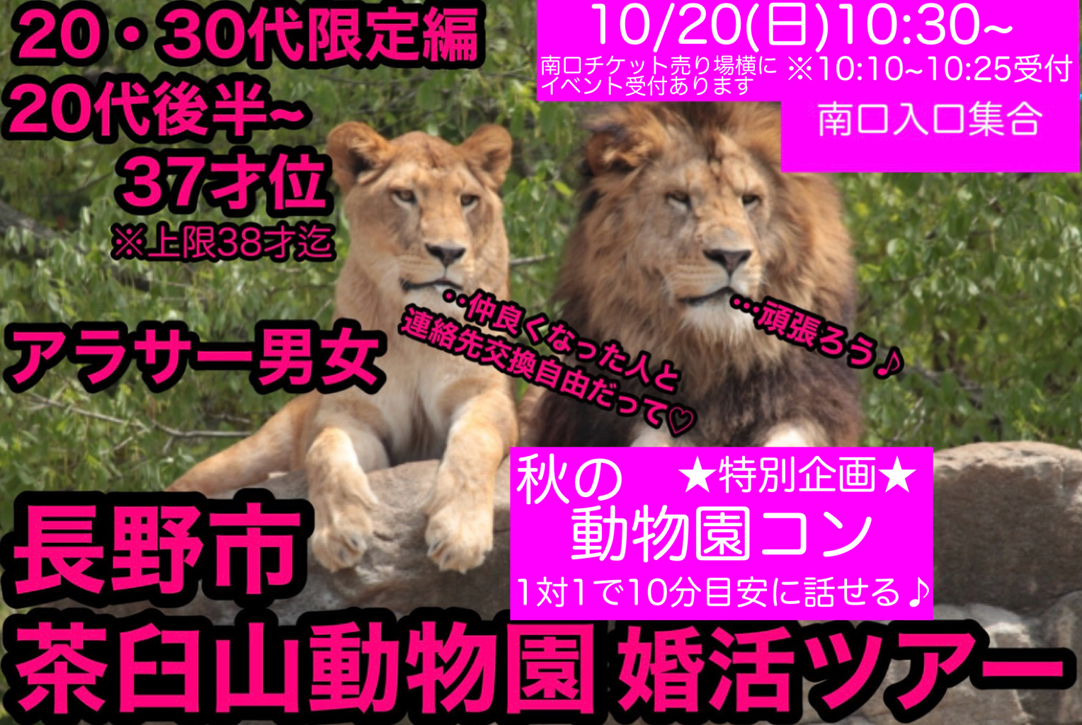 公式サイト☆ベストレート早割先行予約✨長野市20・30代動物園婚活 】 10/20(日)10:30~  【秋の特別企画】デートみたいな婚活♡20・30代限定編《アラサー男女♡20代後半~37才位》長野市茶臼山動物園♡婚活ツアー | ハッピーブライダル長野